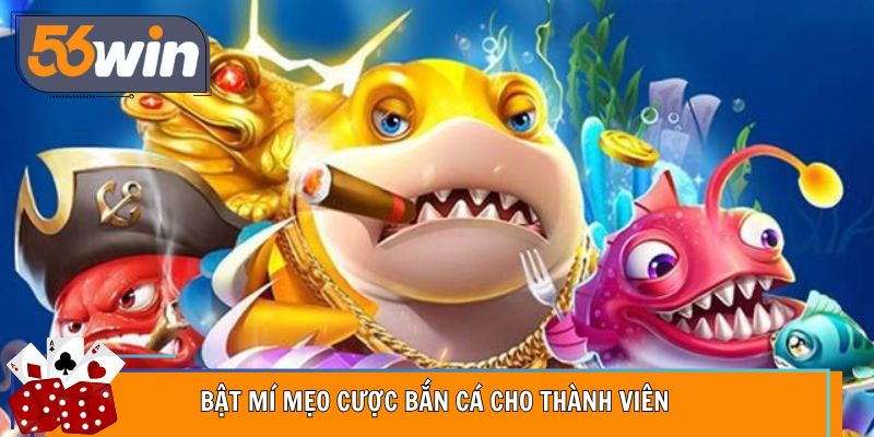 Bật mí mẹo cược bắn cá cho thành viên